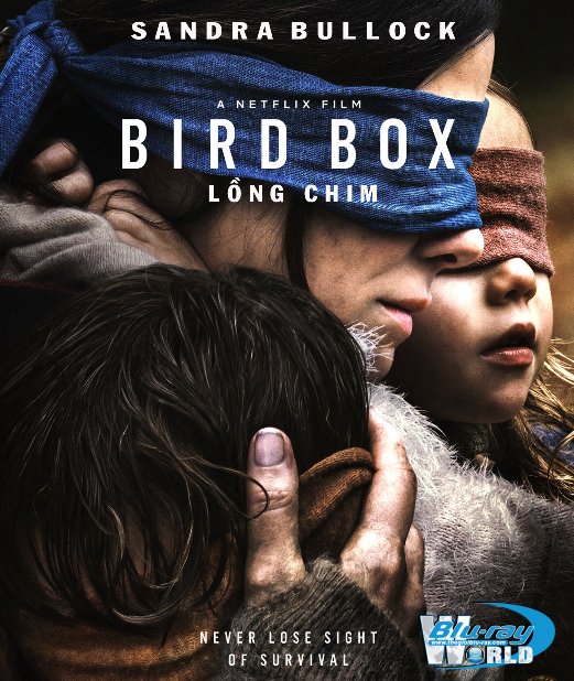 B3819. Bird Box 2018 - Lồng Chim 2D25G (TRUE- HD 5.1 DOLBY ATMOS)